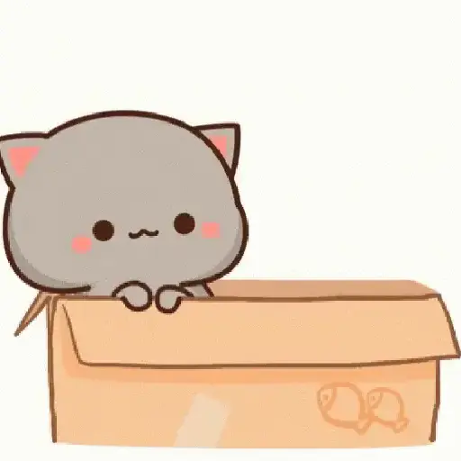 Gatos tiernos❤️ 16