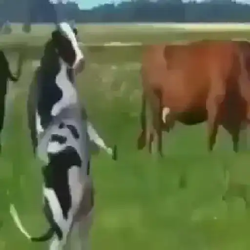 Random 3