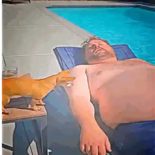 Ai que mico 13