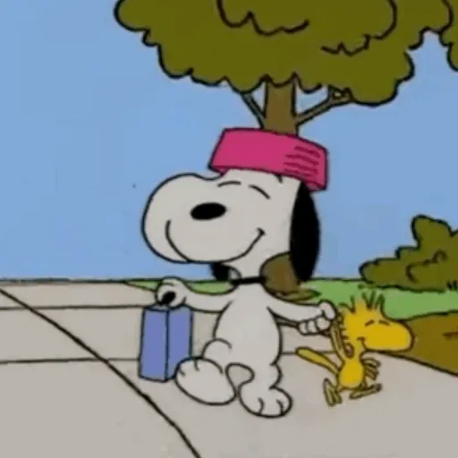 ❀ᮬ🐶⣧ ᩡᩡ Snoopy!©️Pochis 6