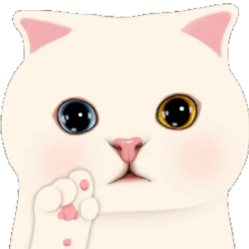 Gatinhos 16