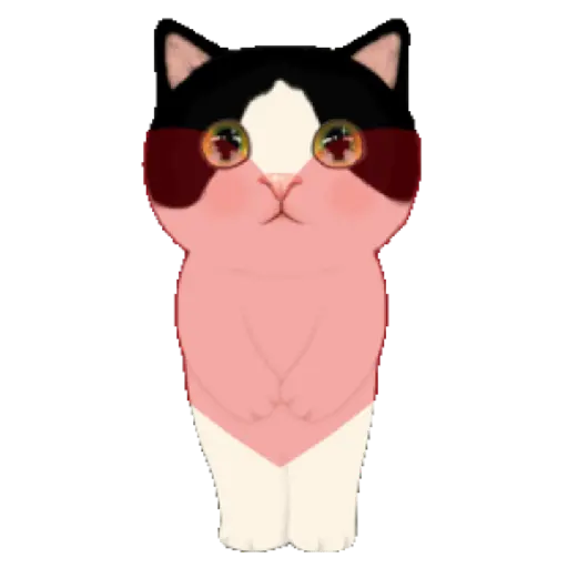 Gatinhos 25