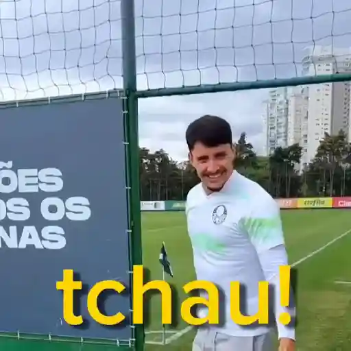 Piqueréz | Palmeiras 25