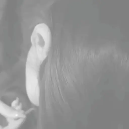 Couple. ㅤㅤ: ㅤㅤ( @serpions )ㅤ 10