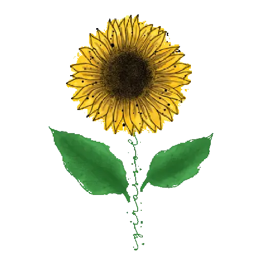 Flores Amarillas ✨🌻 9
