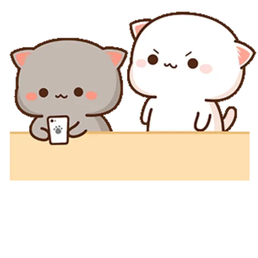 Mochi Peach cat 14 15