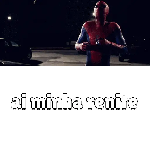 Animadas 13