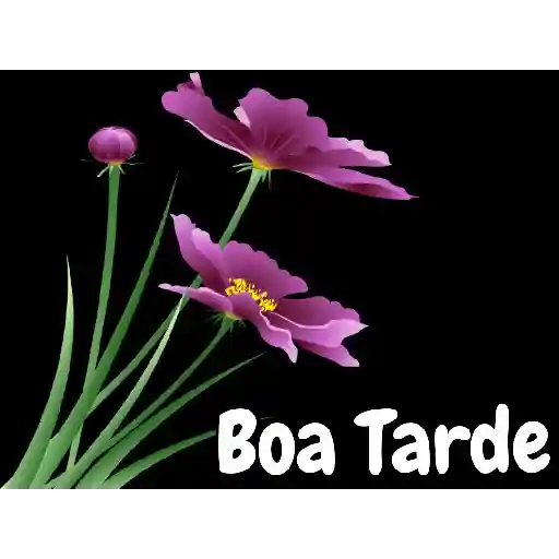 Amém 2