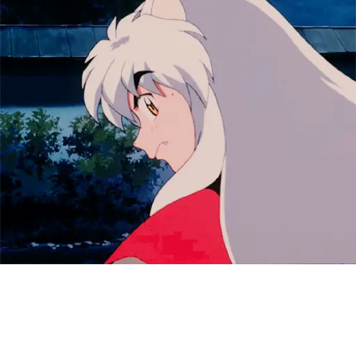 Animadas 3