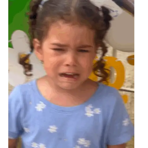 Nossas 26