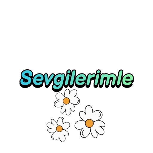Allah'a emanet  24