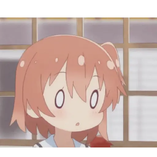 Nuevo animados 2