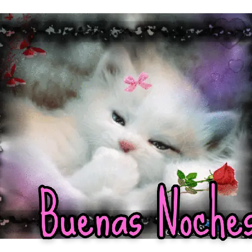 BUENAS NOCHES2 19