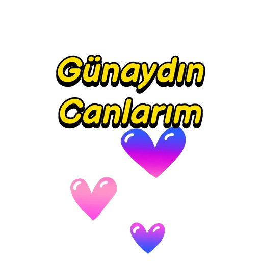 Allah'a emanet  28