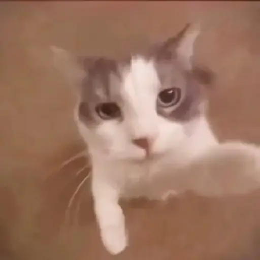 Okhssn 2