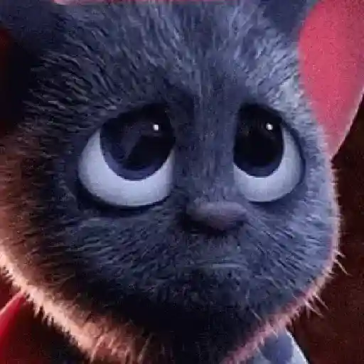 Sla não sei 11