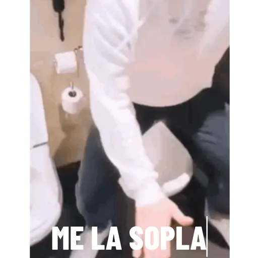 Animadas 14
