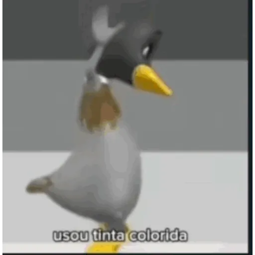 Kkkk 16
