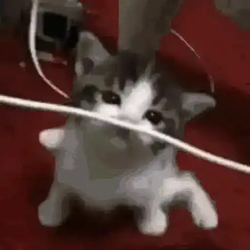 GATOS RANDOM - PARTE 21 15