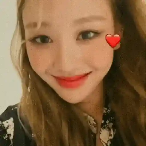 Stickers kpop 8