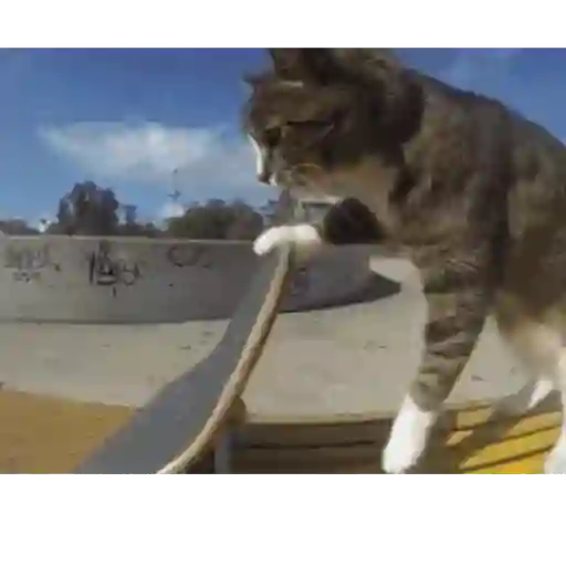 Skateboard 2023 3