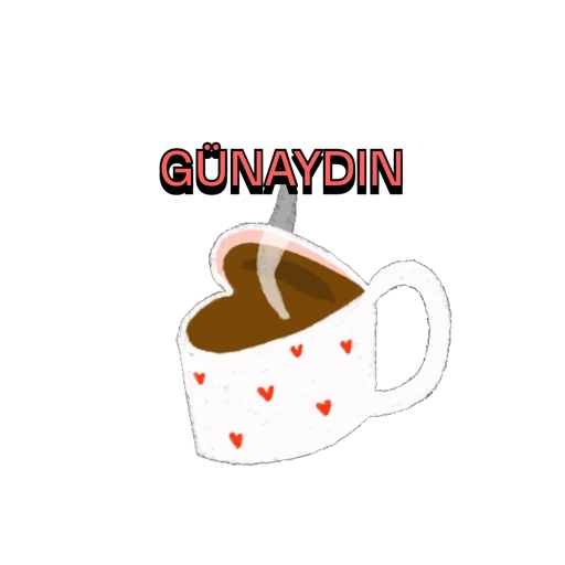 Allah'a emanet  17