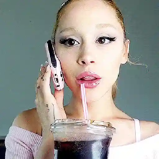 Ariana grande stickers 14