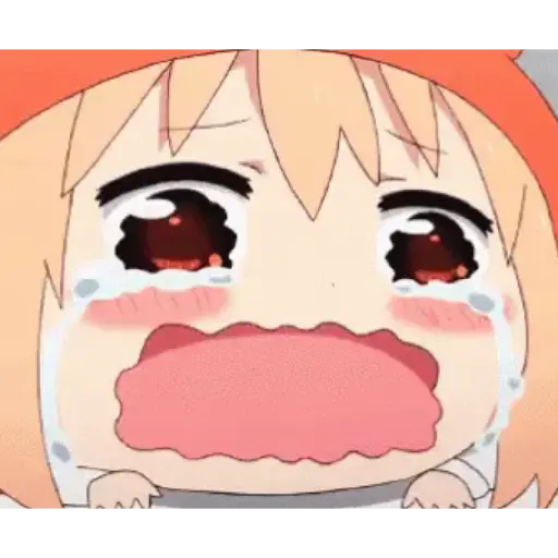 Umaru chan 1