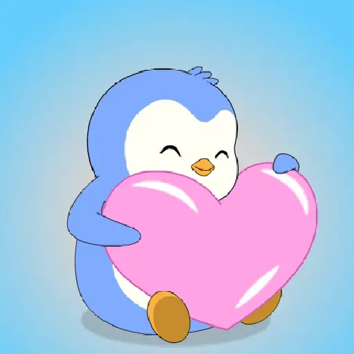 Amor 1.1  8