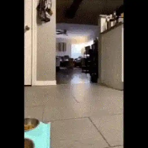 Shitpost 7