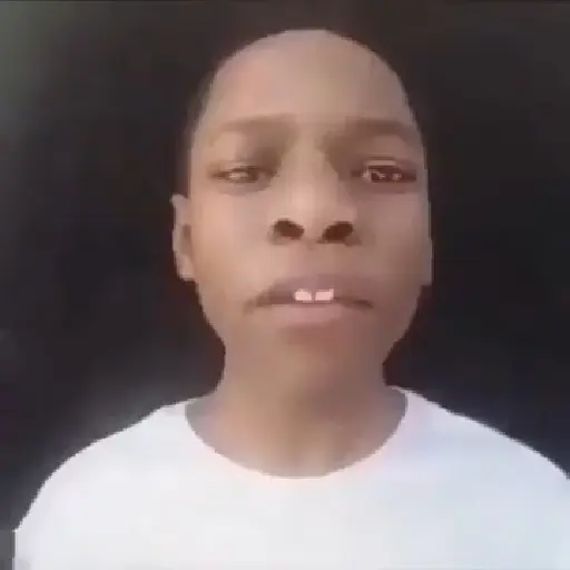 Animadas 6