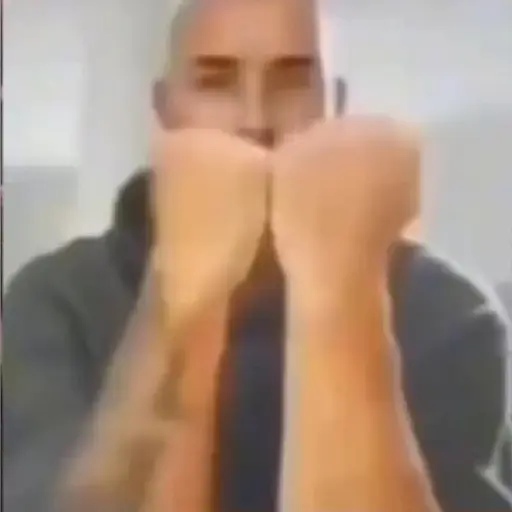 Animadas 1