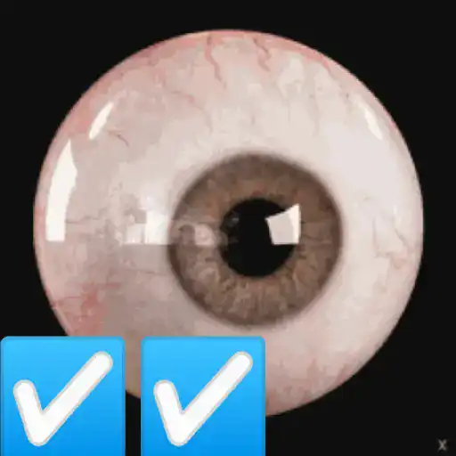 Memes GIF 3