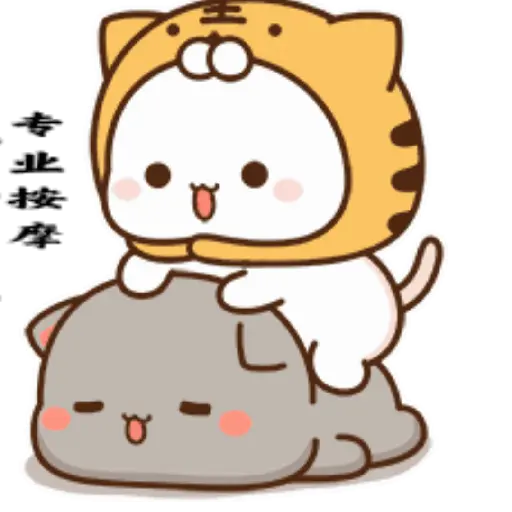Mochi cat 21