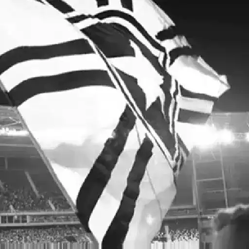 Botafogo RJ ⚫⚪ 3