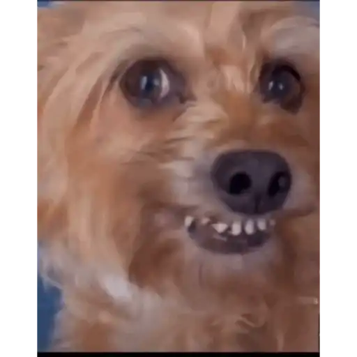 Kkkk 13