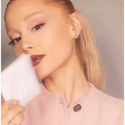 Ariana grande stickers 26