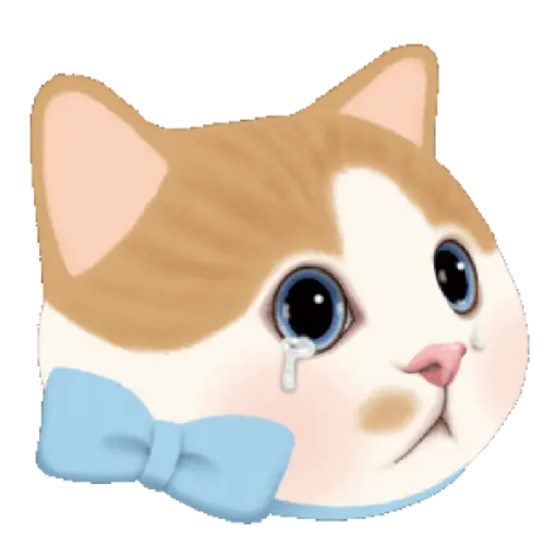 Gatinhos 29