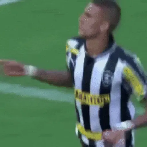 Botafogo RJ ⚫⚪ 26