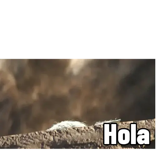 Uff 2