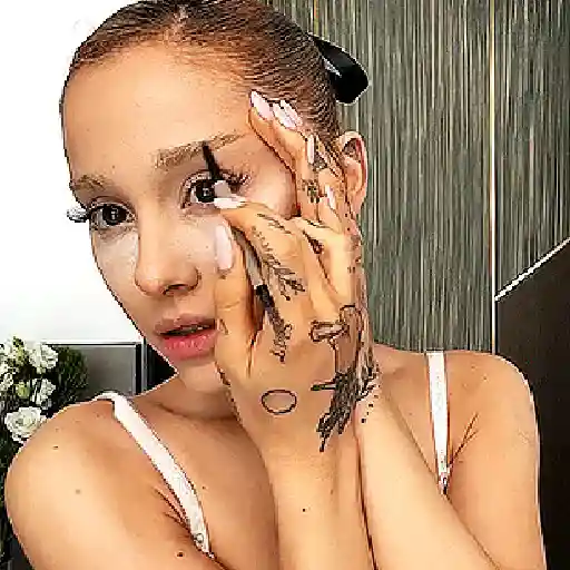 Ariana grande stickers 29
