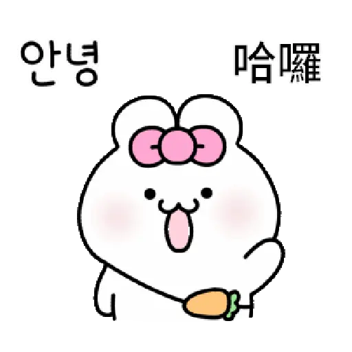 可愛的兔子TOTO 14