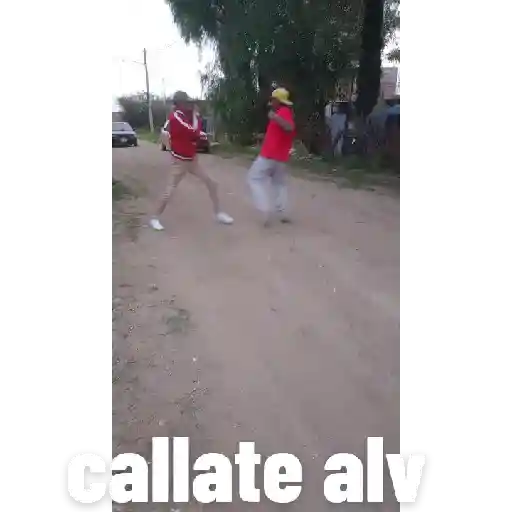 Tu puta madre 2
