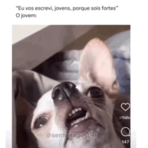 Kkkk 4