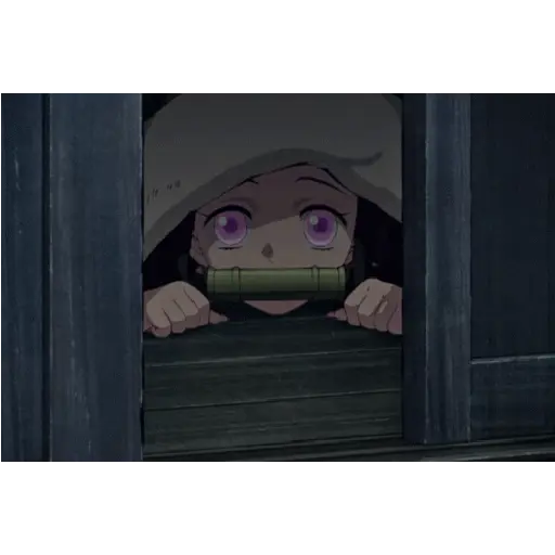 Demon slayer(◍•ᴗ•◍)❤ 2