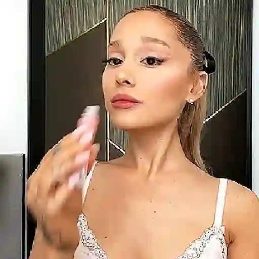 Ariana grande stickers 19