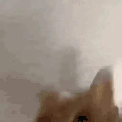 GATOS RANDOM - PARTE 21 21