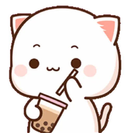 Mochi cat 24