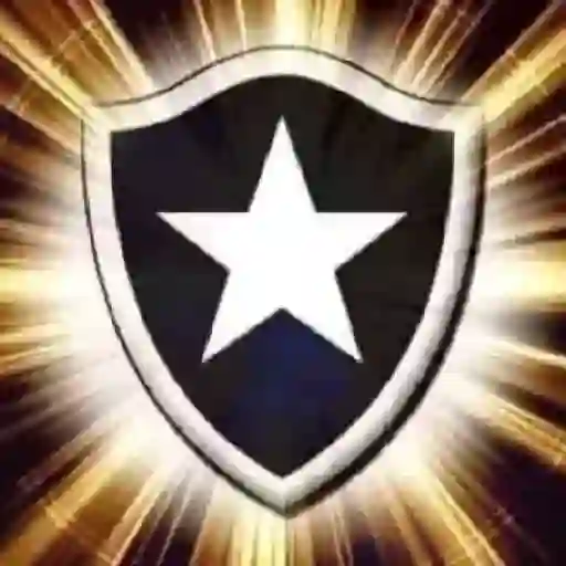 Botafogo RJ ⚫⚪ 2