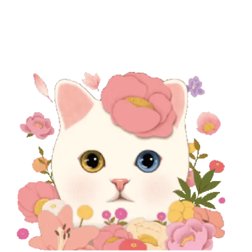 Gatinhos 5